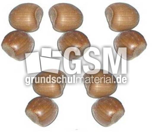 Haselnüsse-5x2.jpg